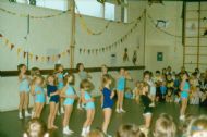 Sint 1982